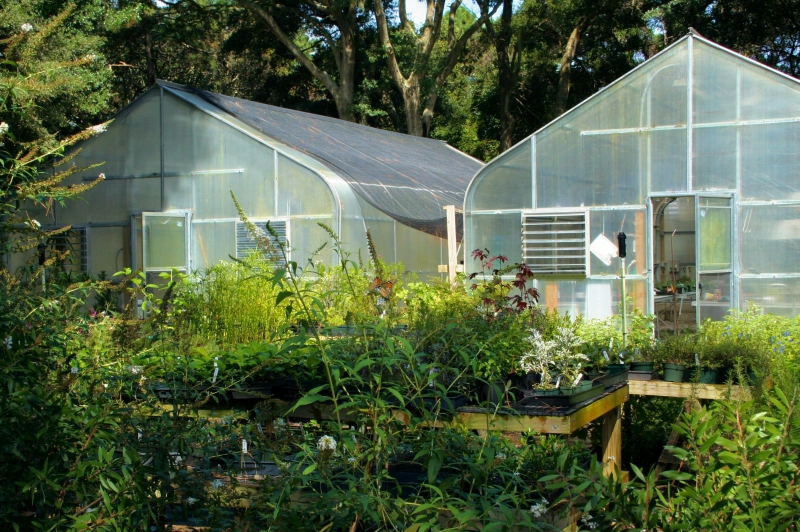 pepiniere-LA MARTRE-min_greenhouse-60830