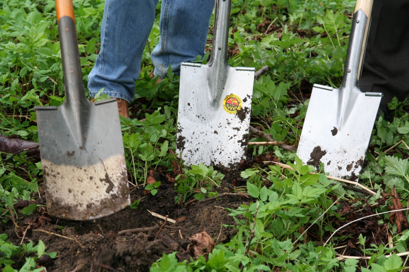 pepiniere-LA MARTRE-min_work-lawn-flower-tool-green-backyard-1103633-pxhere.com